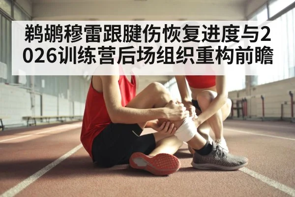 鹈鹕穆雷跟腱伤恢复进度与2026训练营后场组织重构前瞻